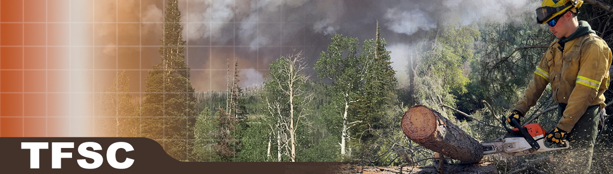 TFSC Decorative banner. Group of wildland firefighters hiking down a valley to a fire. Black topo map and WFSTAR logo on left.