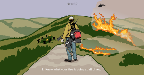 Current and accurate information about fire behavior and weather conditions is critical to firefighter safety. This Standard Firefighting Order demonstrates how lookouts are used to gather and communicate details on fire behavior.