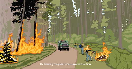 Spot fires occur when embers land on the unburned side of a fireline. This Watch Out depicts an engine crew attempting to contain several spot fires which are increasing in size while the main fire is also growing.
