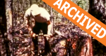 Catalog thumbnail