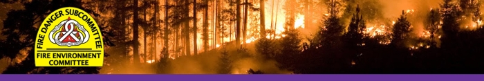 FDSC logo over background of glowing timber burning at night.   Decorative banner.