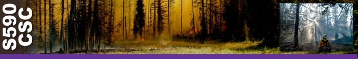 S590CSC header graphic. Decorative.