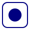 White square with rounded corners and blue outline with blue circle in center.