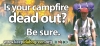 Billboard Graphic that shows a hiker walking away from a burning forest and the text reads "Is you Campfire Dead Out?  Be sure"