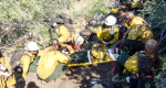Photo of firefighters preparing an injured person on a backboard for a medivac.