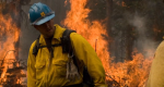 Photo of firefighter walking in front of flames.