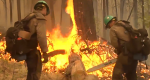 Photo of firefighters with chainsaws cutting slash next to a burning tree.