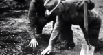 Historical image of firefighters feeling the dirt for hot spots.
