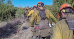 Group of wildland firefighters hiking up a hill, carrying tools.