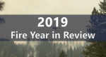 2019 Year in Review text