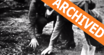 Catalog Thumbnail