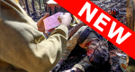 New Module Thumbnail (decorative)
